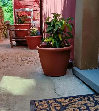Case Campetti Bed & Breakfast Montagnana Pistoiese
